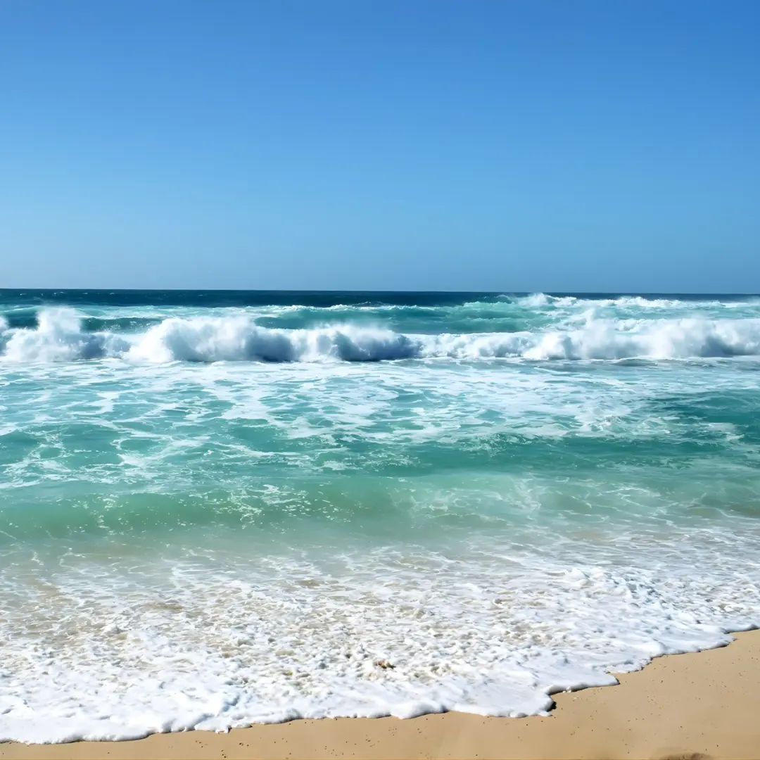 Cox’s Bazar Relax Tour Package – 3 Nights 2 Days