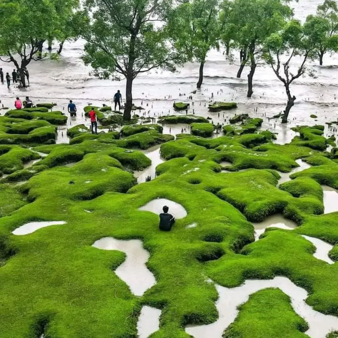 Sitakunda Day Tour – Chandranath Hill, Bashbaria Sea Beach & Mohamaya Lake