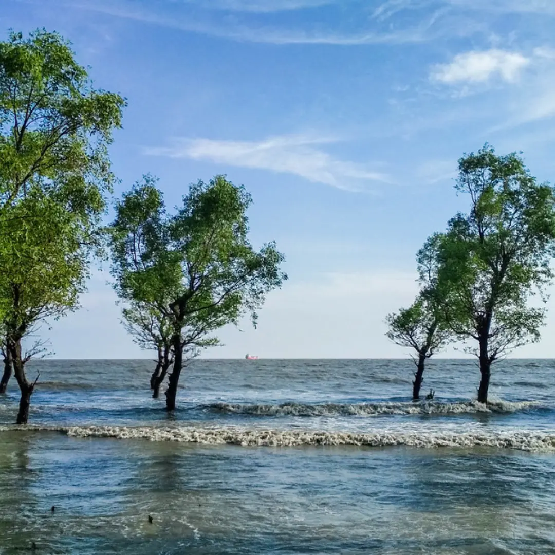 Sitakunda Day Tour – Chandranath Hill, Bashbaria Sea Beach & Mohamaya Lake