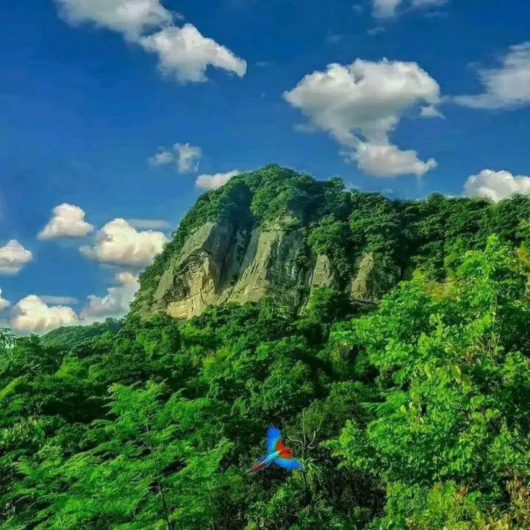 Sitakunda Day Tour – Chandranath Hill, Bashbaria Sea Beach & Mohamaya Lake