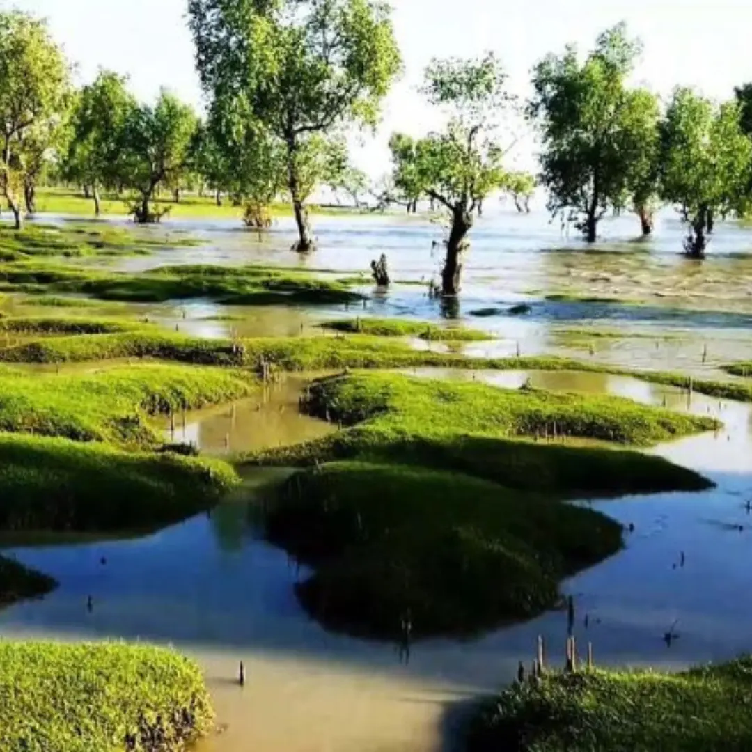 Sitakunda Day Tour – Chandranath Hill, Bashbaria Sea Beach & Mohamaya Lake