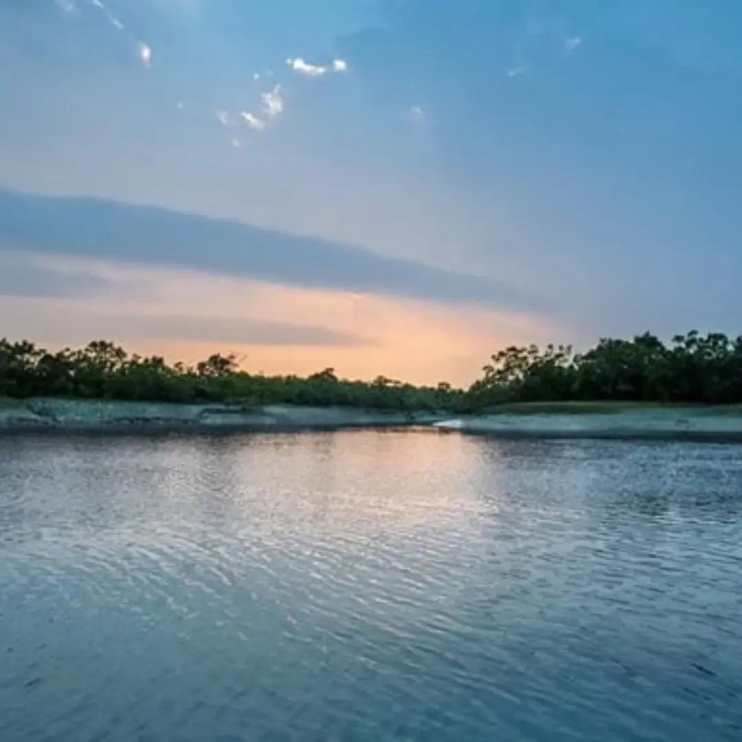 Sundarban Karamjal & Sixty Dome Mosque Budget Tour