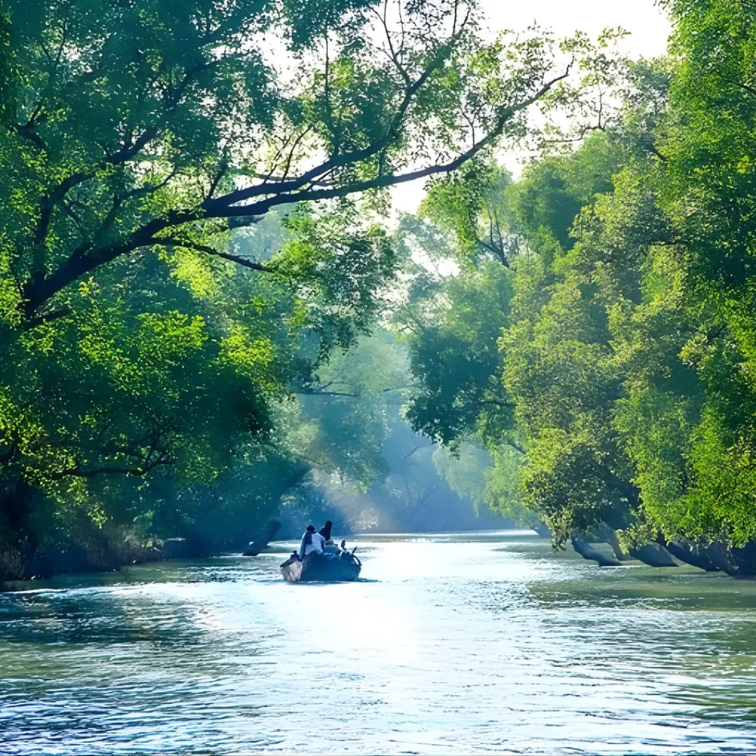 Sundarban Karamjal & Sixty Dome Mosque Budget Tour